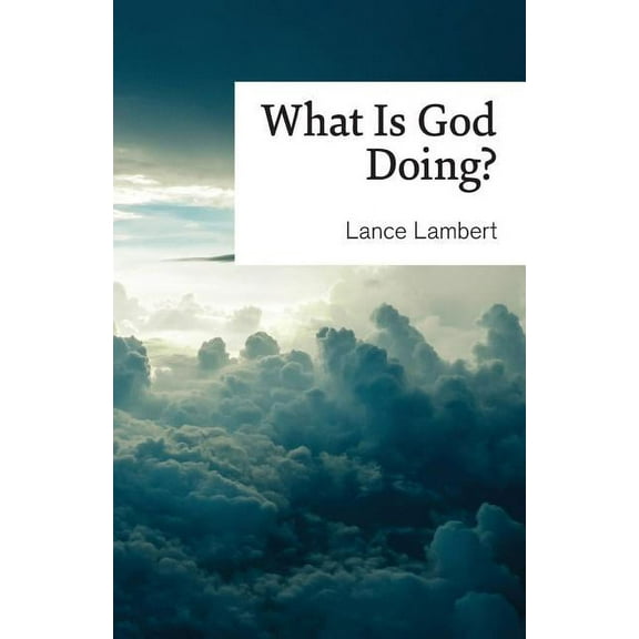 What Is God Doing?: Lessons from Church History (Paperback)