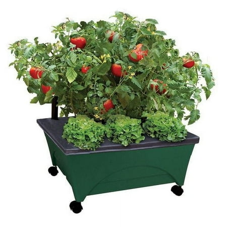 City Picker Patio Grow Box – Raised Bed with Self-Watering, Improved Aeration, Mobile Casters – Hunter Green