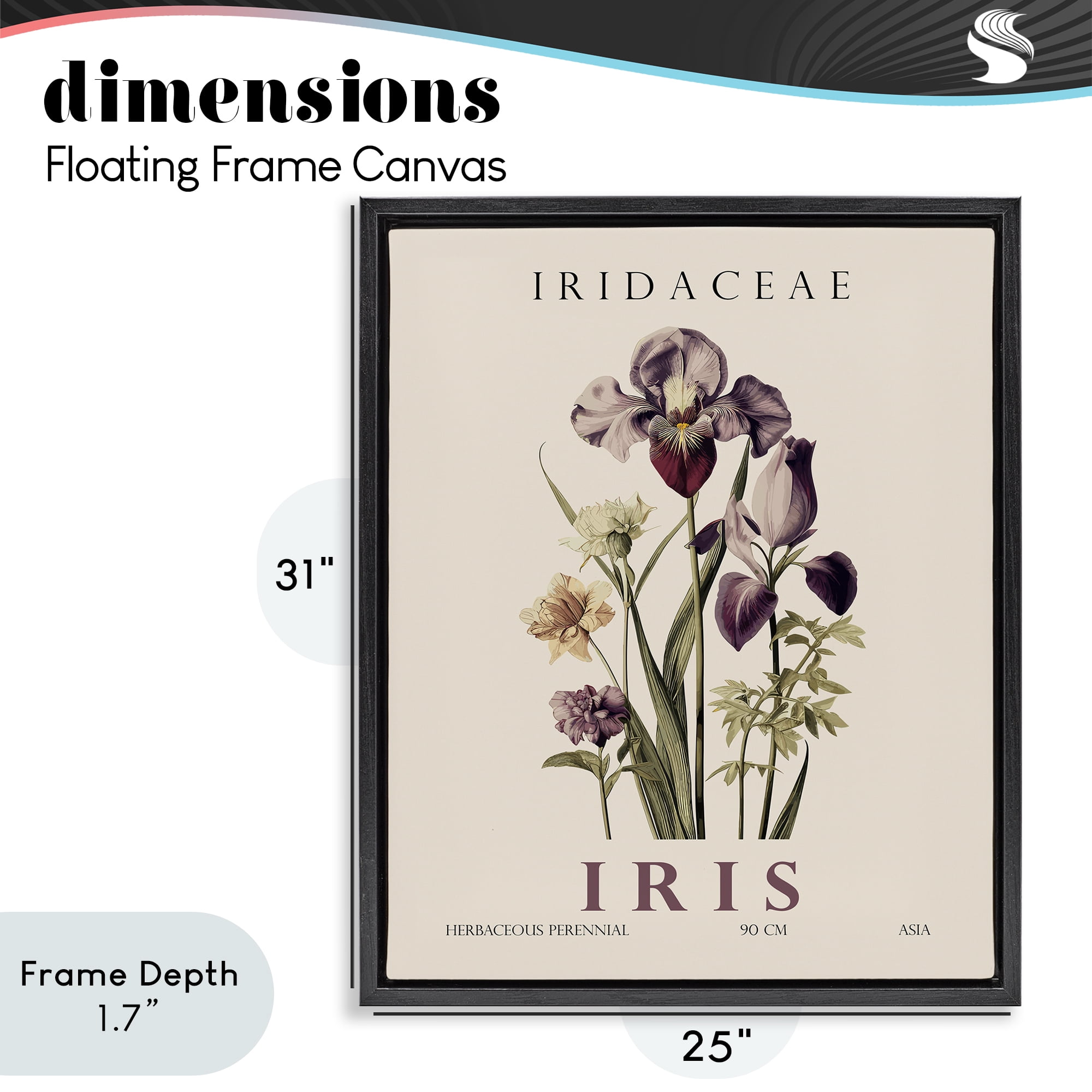 Stupell Industries Natural Iris Bundle Black Framed Floater Canvas Wall Art, design by Christopher Giampietro