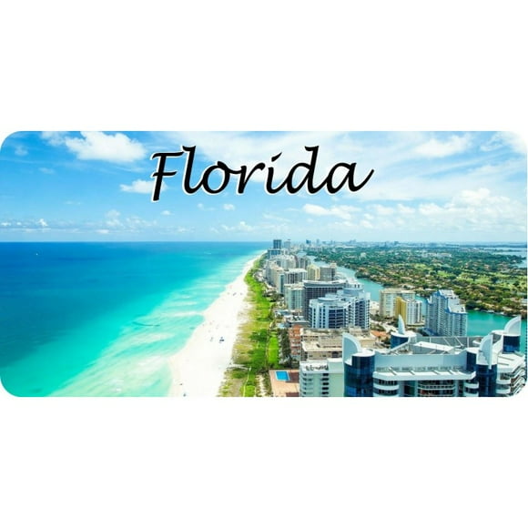 Florida Beach Resort Scene Photo License Plate