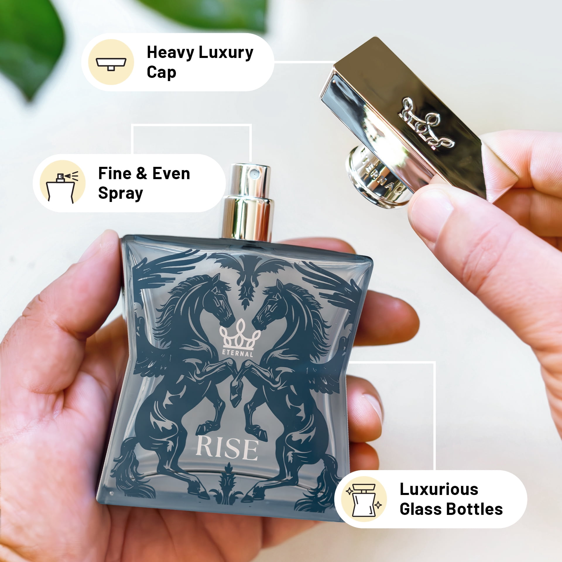 Eternal Fragrance RISE, Fresh Spicy Vanilla Woody Eau de Parfum, Inspired by Layton Cologne for Men, 3.4 oz (100ml) Spray