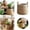 A, variant on Woven Basket for Indoor Outdoor, Decorative Storage Basket Large Capacity, Flower Pots Container for Lawn, Yard, Balcony, Home, Windowsill, Patio, Garden, Farmhouse Decor