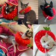 thumbnail image 3 of Adjustable Cat Recovery Collar, Cute Strawberry Neck Cone After Surgery, Wound Healing Protective Cone Surgery Recovery Elizabethan Collars, Soft Edge Cat Cone for Kitten and Cats, 3 of 5