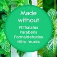 thumbnail image 2 of Glade® Chandelle parfumée, Empower Mint™, 2 of 7