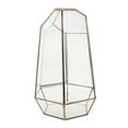 thumbnail image 2 of veasfak Irregular Geometric Terrarium Box Tabletop Plant Planter L 6.3 x 6.3 x 9.8 inch, 2 of 9