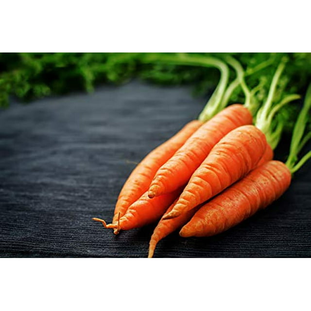 Scarlet Nantes Carrot Seeds - Non-GMO - 7 Grams, Approximately 4,750 Seeds