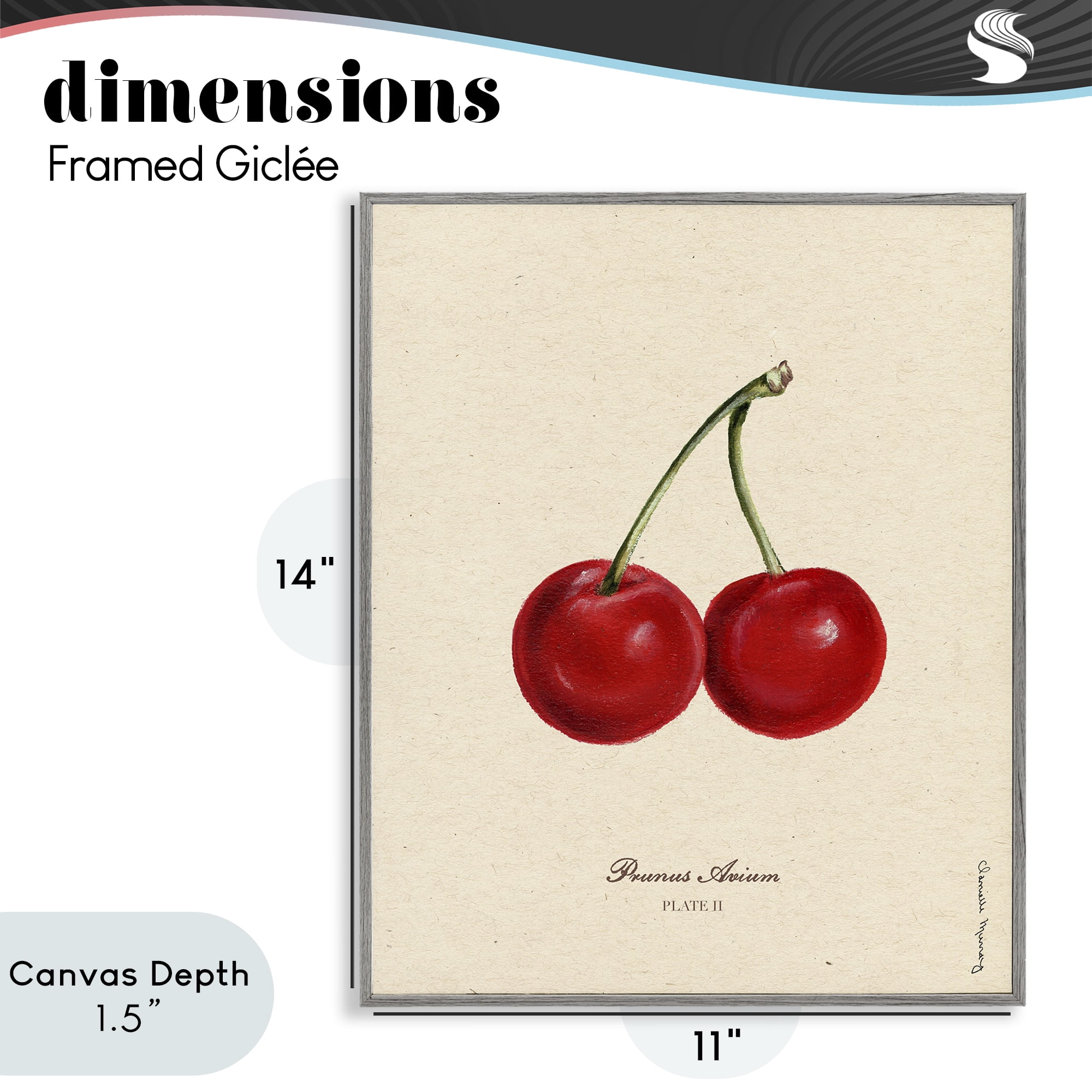 Stupell Industries Cherry Fruit Portrait Gray Framed Giclee Art, design by Danielle Murray