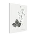 thumbnail image 2 of Vision Studio 'Botanical Imprint IV' Canvas Art, 2 of 3