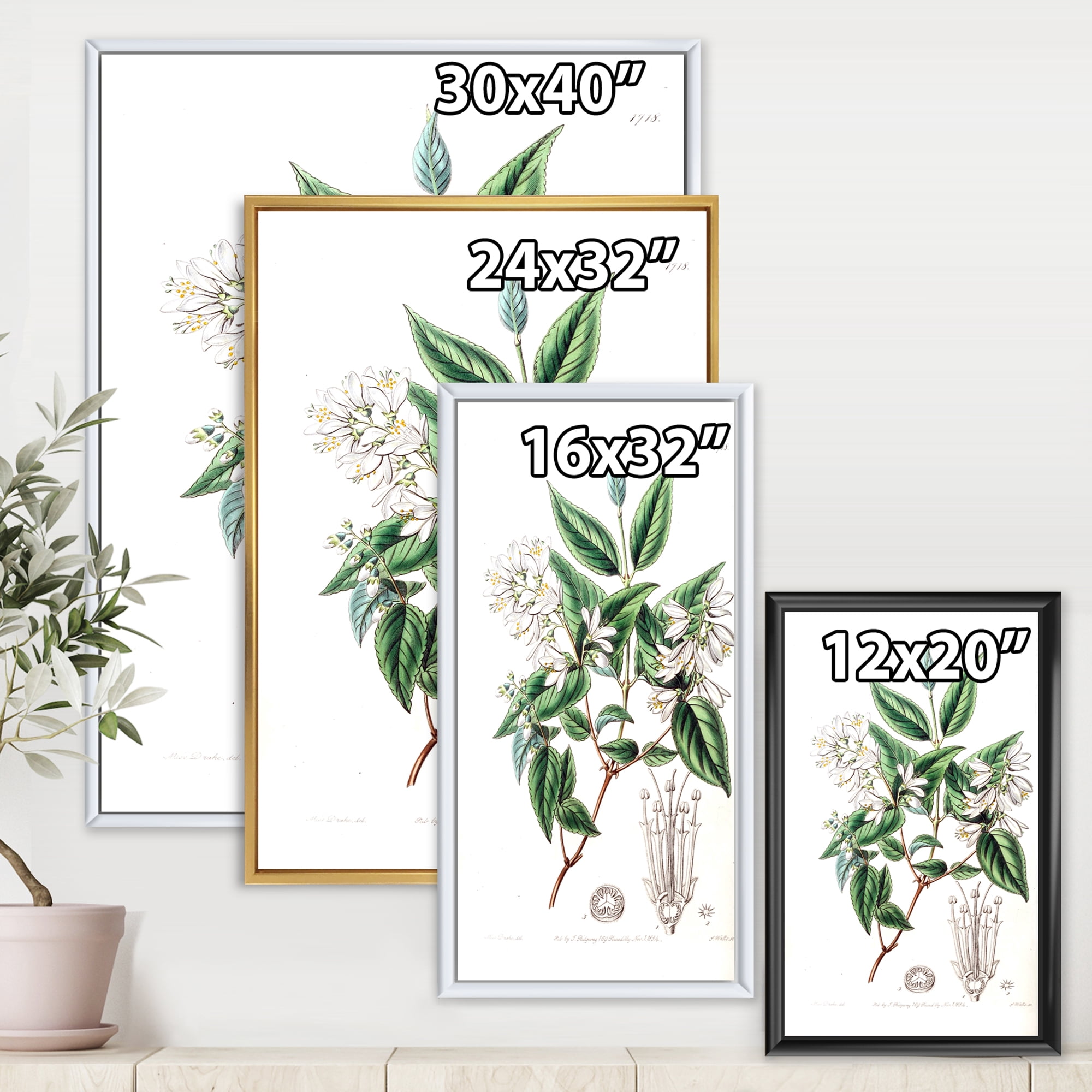 Designart 'Ancient Botanicals X' Traditional Framed Canvas Wall Art Print