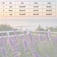 thumbnail image 3 of Ailaofu Women's Bow Sweatshirt Rhinestone Long Sleeve Crew Neck Loose Tops, 3 of 6