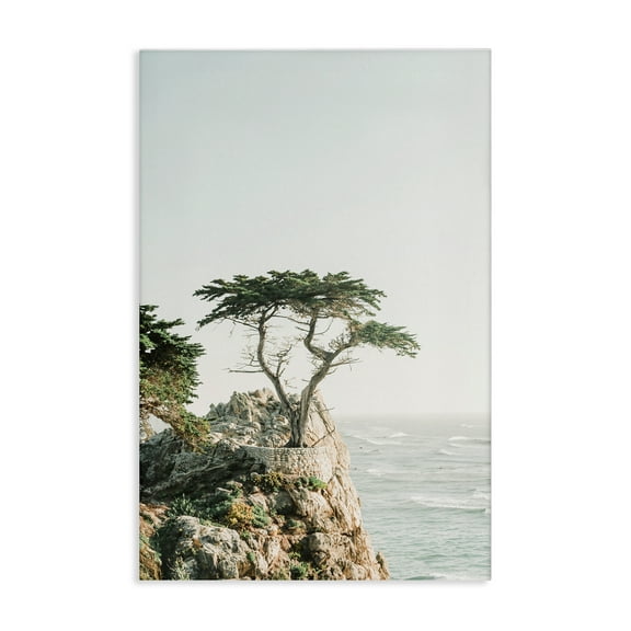 Stupell Industries Tree on Beachside Cliff Nautical & Beach Photography Wrapped Canvas Art Print Wall Art, 16 x 24
