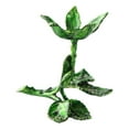 thumbnail image 1 of Metal Plated Flower Display Crystal Glass 60 70mm Large, 1 of 8