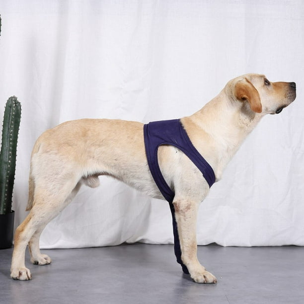 Recovery Sleeve For Pet Dog Front Leg Anti-licking Protect Cover To  Prevents infection