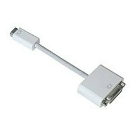 UPC 885909100798 product image for Apple M9321G/B Mini-DVI to DVI Adapter | upcitemdb.com