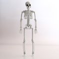 thumbnail image 4 of Halloween Movable Articulated Skeletons To A Atmosphere To Your Holiday, 4 of 5