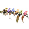 thumbnail image 1 of CAROOTU 12pcs Mini Artificial Birds Simulation Foam Birds Multicolor Craft, 1 of 7