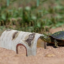 Soimiss 1Pc Resin Pet Hiding House for Reptiles with Climbing Platform