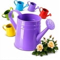 thumbnail image 7 of White Watering Can Metal - 1 L Vintage Sprinkling Can with Removable Spout - Galvanized Steel Water Cans for Indoor Outdoor Plants - Long Spout Garden Irrigation Tool for Flowers (White), 7 of 7