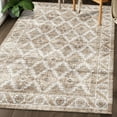 thumbnail image 5 of ReaLife Machine Washable Rug - Stain Resistant, Non-Shed - Eco-Friendly, Padded, Family & Pet Friendly - Made from Premium Recycled Fibers - Zara Vintage Distressed - Beige Ivory Gray, 2'6" x 6', 5 of 5