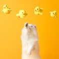 thumbnail image 4 of Milue Soft Electric Ducks for Cats Lightweight Interactive Chirping Duck for Chasing, 4 of 17