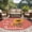 coral red, variant on Area Rug 2 x 3 Ft, Sunflower Sunshine Indoor Accent Bathroom Rugs for Kitchen/Laundry Room, Pastoral Bees Farmhouse Floral Washable Non-Slip Runner Floor Mat for Entryway, Living Room
