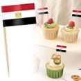 thumbnail image 1 of Country Flag Toothpicks | Cake and Burger Decorative Sticks | Flags for Themed Meals, 1 of 5