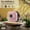 Pink, variant on Dteck for AirPods 3rd Generation 2019 Case with Secure Lock, Compatible with Wireless Charging, Full Drop Protection for AirPods 3 with Keychain,Purple