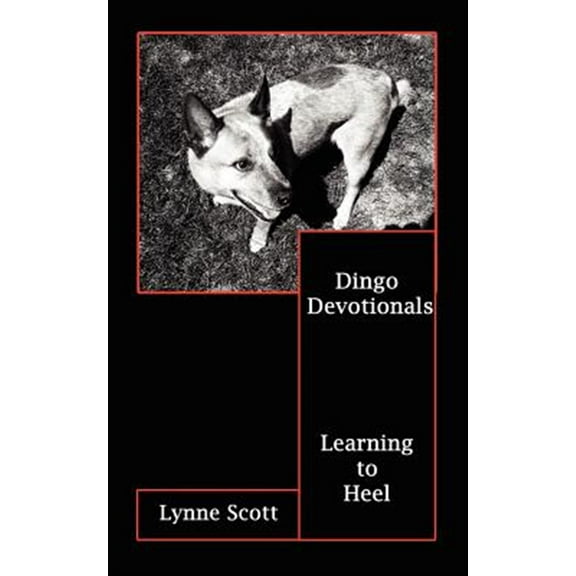 Dingo Devotionals: Learning to Heel (Paperback)