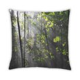 thumbnail image 2 of Ahgly Company State Kentucky Outdoor Throw Pillow, 18 inch by 18 inch, 2 of 6