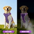 thumbnail image 4 of Jewyow No Pull Dog Harness - Dog harness for small dogs,Reflective Adjustable Pet Vest with Handle & Breathable Mesh,Purple, XS, 4 of 9