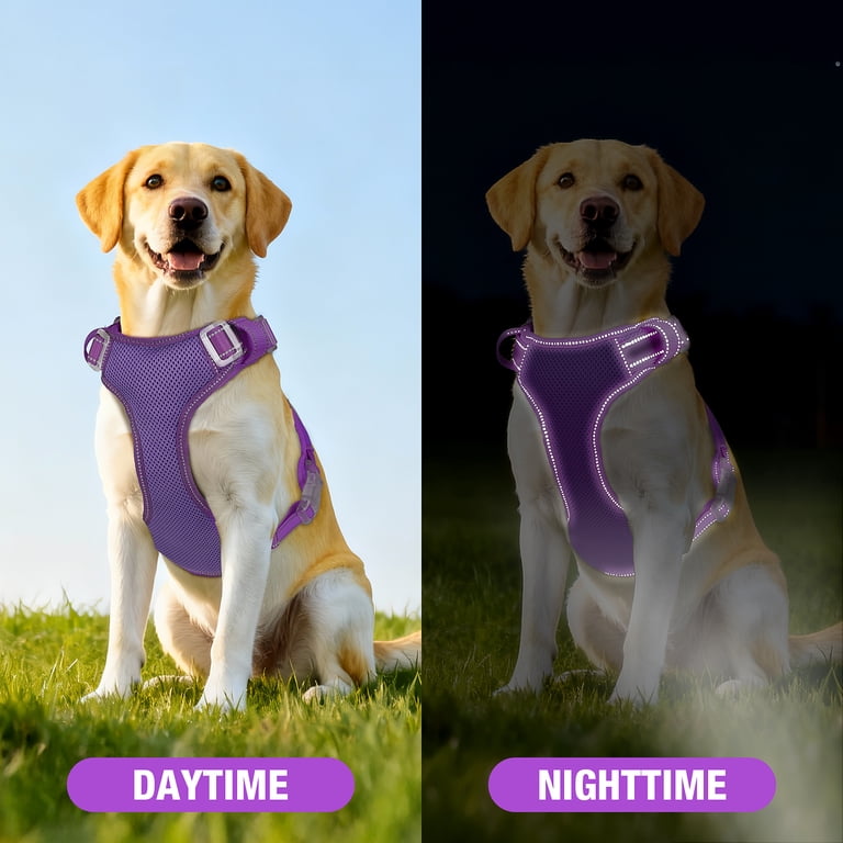 Jewyow No-Pull Dog Harness, Medium, Purple photo 3