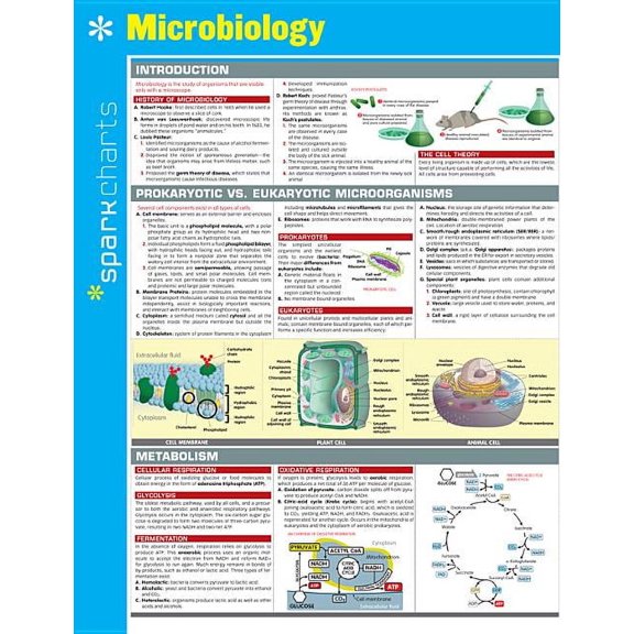 Microbiology SparkCharts