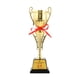 thumbnail image 1 of Trofeo Copa Campeonato de Fútbol Trofeo Recuerdo Recompensa Premio Competiciones Premio Estilo B, 1 of 9