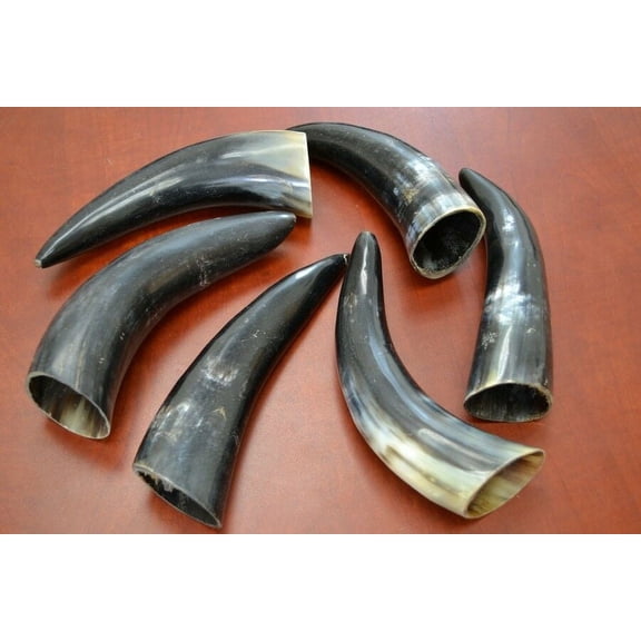 6 Pcs Assort Black Polished Water Buffalo Hollow Viking Horns 6" - 8"