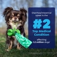 thumbnail image 3 of Toallitas para mascotas Vetnique Labs Glandex para perros y gatos (75 unidades), 3 of 8
