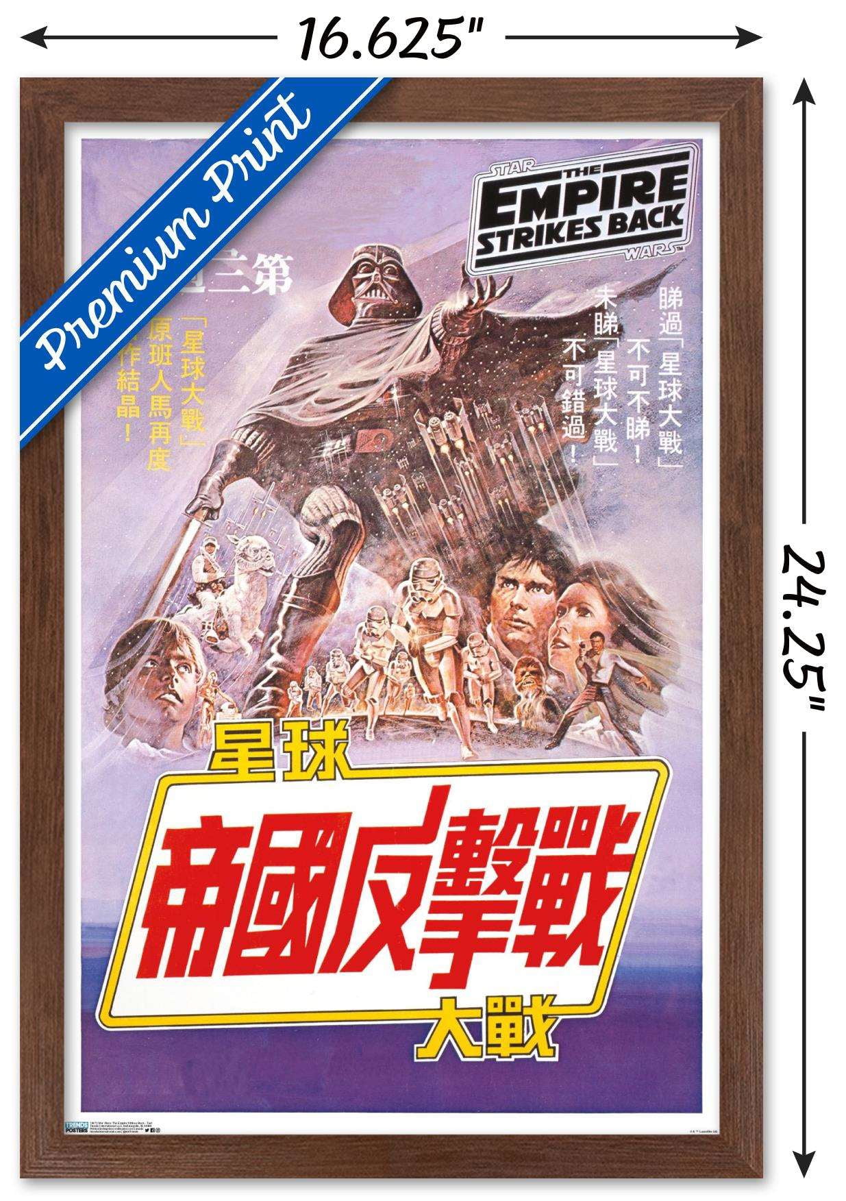 Star Wars: The Empire Strikes Back - Text Wall Poster, 14.725" x 22.375", Framed
