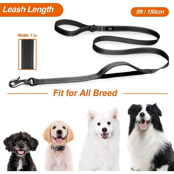 Dog leads hotsell at walmart