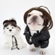 thumbnail image 4 of Pelucas para perros, disfraces para mascotas, sombreros para mascotas, disfraces para festivales, fiestas de cosplay., 4 of 9