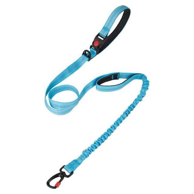 ruzhgo Laisse pour Chien Forte Réglable avec Poignée Rembourrée Corde d'Entraînement Aiguilles pour Animaux Camping Extérieur Natation Course Rouge Bleu Ciel