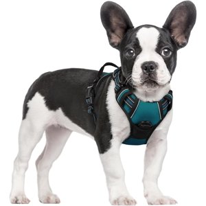 Rabbitgoo Small Dog Harness No Pull, Blue Coral
