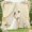 Ivory, variant on 10ftx10ft Backdrop Curtains 2 Panels for Parties Wrinkle Free Photo Curtain Backdrop Wedding Drop Soft Silky Fabric Drapes for Birthday Party Decorations Photograph Background