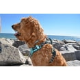 thumbnail image 5 of The Comfort Dog Harness With Mesh Padded Vest Aqua- Large Breeds, 5 of 6