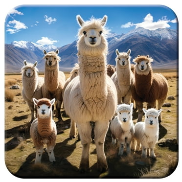 3D LiveLife Llamarama Cork Coaster by Deluxebase – Non-Slip 3D Llama Art by David Penfound