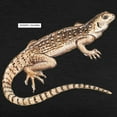 thumbnail image 3 of CafePress - Desertiguana076 Womens Tri Blend T Shirt - Womens Tri-blend T-Shirt, 3 of 4