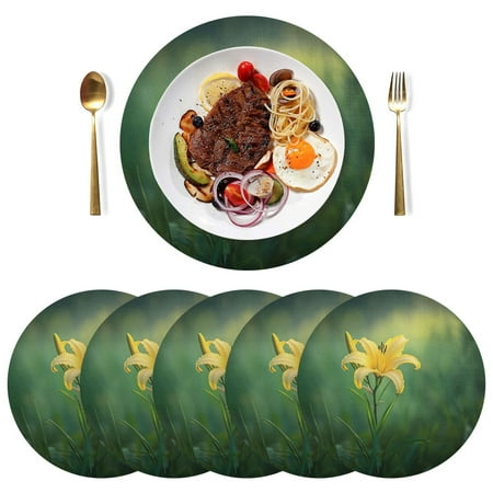 

Round Placemats Plate Mats 15 Inch Non-Slip Heat Resistant Washable PVC Set Table Decoration for Kitchen Dining A Yellow Day Lily Flower