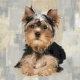 thumbnail image 3 of Rodgers, Keri 12x12 Black Modern Framed Museum Art Print Titled - Yorkshire Terrier, 3 of 5