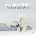 thumbnail image 6 of Benebone Puppy Wishbone Dog Chew Toy, Real Bacon Flavor, Small, 6 of 9