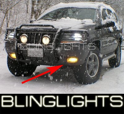 Glass Driving Fog Light Lamps w/Light Bulbs A Pair Fit 1997-1998 Grand Cherokee 