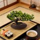 thumbnail image 4 of unbranded De Bonsái Artificial Para De En Restaurante Japonés, 4 of 8