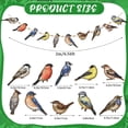 thumbnail image 3 of DefiDgd 10pcs Wooden 2D Flat Hanging Bird String Hanging Pendant,Colorful Flat Tropical Bird Statue for Summer Party Tree Wall Window Hanging Decoration Supplies(A), 3 of 6